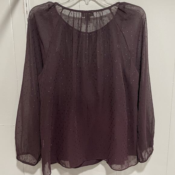 Point Sur J Crew Sheer Popover Glitter Dot Blouse Top Size Medium Purple Lined - Picture 3 of 7